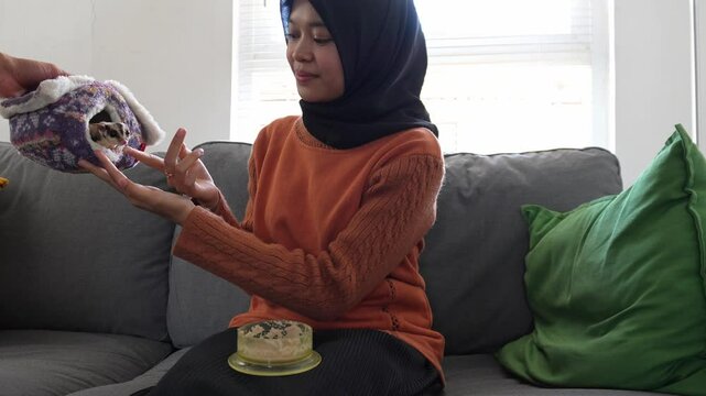 Asian Muslim Woman Feeding Sugar Glider At Home