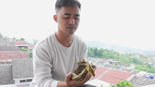 Asian Young Man Holding Reticulated Python. The Reticulated Python Is A Python Species Native To South And Southeast Asia.