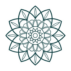 Mandala line art vector illustrator
