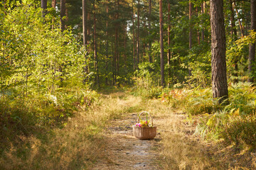 piknik,kosz,bukiet kwiatów  © Marcin Łazarczyk