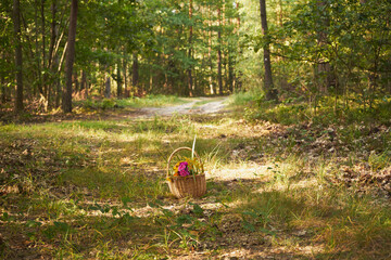 piknik,kosz,bukiet kwiatów  © Marcin Łazarczyk