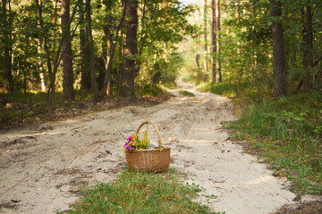 piknik,kosz,bukiet kwiatów  © Marcin Łazarczyk