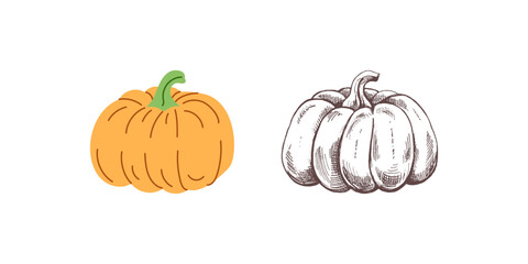 Vector flat and sketch style Halloween Illustration. Hand-drawn  pumpkin sketch isolated on white background. Element for labels, packaging and cards design.