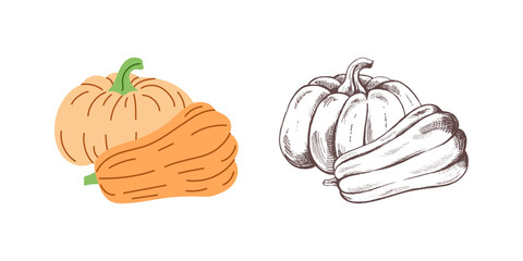 Vector flat and sketch  style Halloween Illustration. Hand-drawn  pumpkins sketch isolated on white background. Element for labels, packaging and cards design.