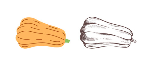 Vector flat and sketch style Halloween Illustration. Hand-drawn  pumpkin sketch isolated on white background. Element for labels, packaging and cards design.