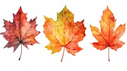 Fototapeta premium A beautiful collection of vibrant watercolor autumn leaves in shades of orange, red, and yellow. Perfect for seasonal designs, nature-themed art, and fall decor.