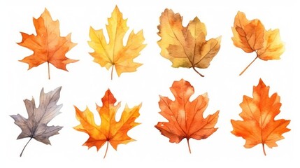 Another set of watercolor autumn leaves in warm tones, isolated for easy use in fall-focused articles, design projects, and seasonal celebration content.
