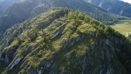 Aerial top view forest tree, Rainforest ecosystem and healthy environment concept and background, Texture of green tree forest view from above