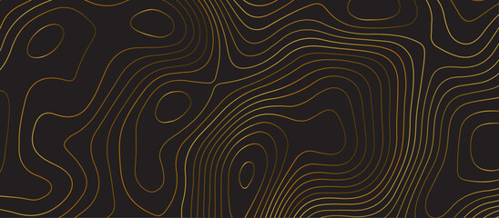 Black topology topography vector abstract design digital background seamless contour map texture territory geography desktop wallpaper and design for print work