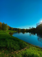 Autumn forest in Russia