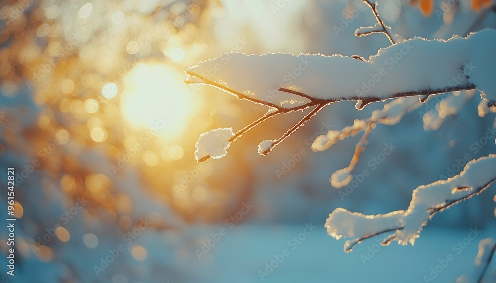 Poster snow-covered branch with warm bokeh lights in the background