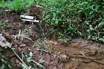 The flow of water comes out of bamboo pipe as one of the springs for a village