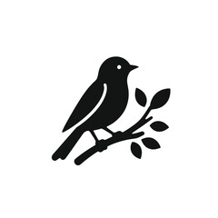 Silhouette of a Bird Perched on a Branch