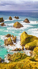 Nugget point. Coastal view at day time