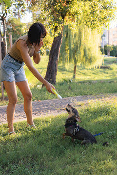 Smiling young woman walks and plays with a small dog in public park,