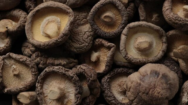 mushrooms on a wooden table