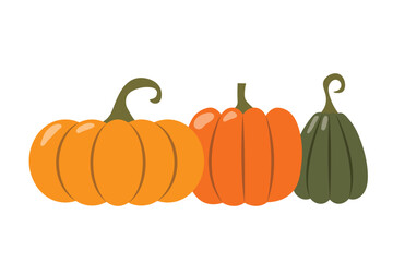 set of colorful pumpkins; autumn, Thanksgiving, Halloween season- vector illustration