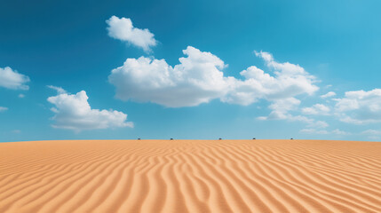 Fototapeta premium Sand dunes with textured ripples beneath a stormy sky