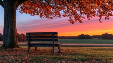 A wooden bench under a vibrant autumn tree at sunset, overlooking a serene meadow.