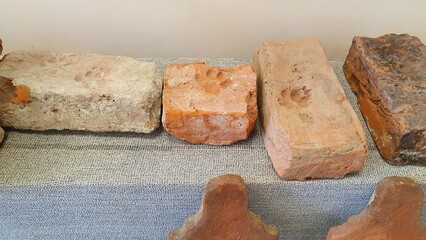Animal tracks on old bricks. High quality photo