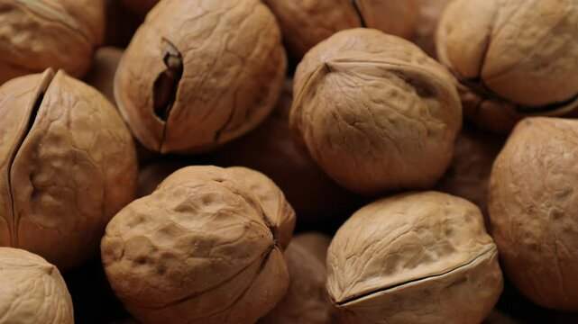 walnut nut food 