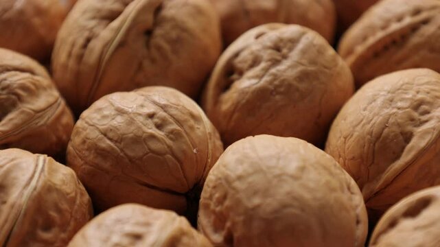 close up of walnut nuts