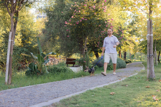 Smiling middle-aged man walks and plays with a small dog in public park