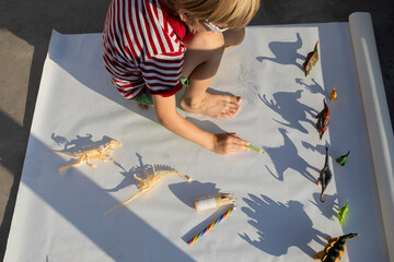 boy plays with contrasting shadows from different toy dinosaur figures. little scientist, ideas for developing imagination, creative games for children, interest in paleontology © Anna