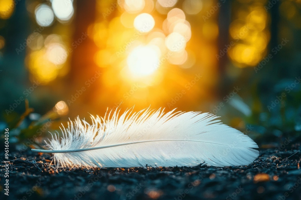 Poster a single white feather resting on the forest floor with sunlight filtering through the trees