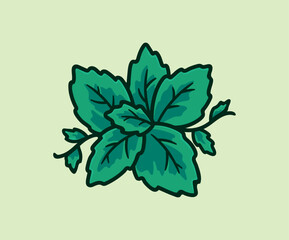 Mint green leaves cartoon style vector illustration, menthol healthy aroma Herbal nature plant