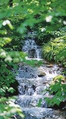Tranquil Stream Flowing Through Lush Greenery.