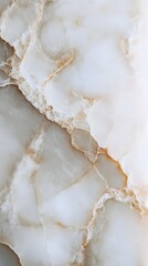 A detailed shot of a piece of marble with unique veins and patterns, set against a light background