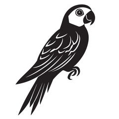 Fototapeta premium Parrot in cartoon, doodle style . Image for t-shirt, web, mobile apps and ui. Isolated 2d vector illustration in logo, icon, sketch style, Eps 10, black and white. AI Generative