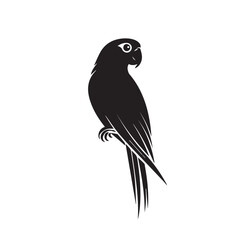 Fototapeta premium Parrot in cartoon, doodle style . Image for t-shirt, web, mobile apps and ui. Isolated 2d vector illustration in logo, icon, sketch style, Eps 10, black and white. AI Generative