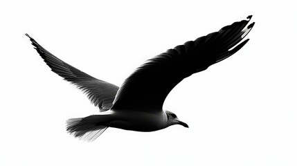 Obraz premium Silhouette of a seagull in flight against a bright white background, capturing freedom and movement in the air.