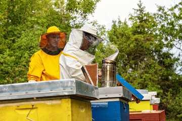 Work at the apiary. Care of honey bees. Beekeeping. Inside the hive.