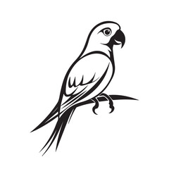 Fototapeta premium Parrot in cartoon, doodle style . Image for t-shirt, web, mobile apps and ui. Isolated 2d vector illustration in logo, icon, sketch style, Eps 10, black and white. AI Generative