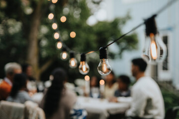 Illuminated string lights hanging in garden during party