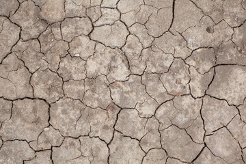 Cracked dry earth background, top view