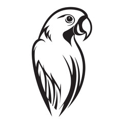 Fototapeta premium Parrot in cartoon, doodle style . Image for t-shirt, web, mobile apps and ui. Isolated 2d vector illustration in logo, icon, sketch style, Eps 10, black and white. AI Generative
