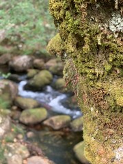 parque natural 