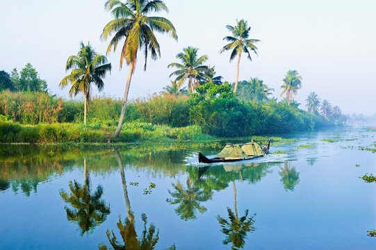 Transportation of sand in country boat, Kuttanad, Kumarakom, Kerala, India, Asia