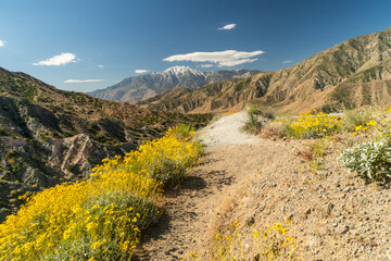 A mountain range with a dirt road leading to it