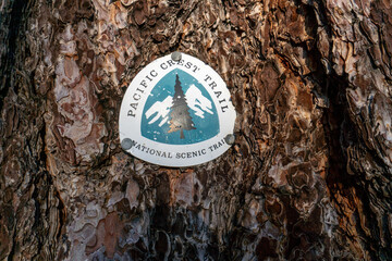 A tree trunk with a Pacific Crest Trail sign on it