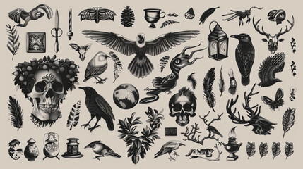 skull and bones