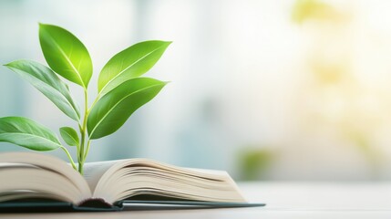 Illustration of a plant growing out of a book, leaves turning into glowing symbols of progress, representing the growth mindset through learning and perseverance 
