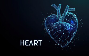 Futuristic digital heart illustration with glowing blue lines and text on a dark background