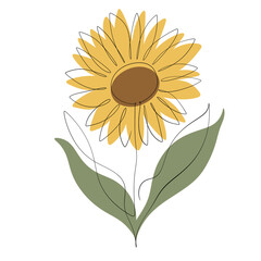 Sunflower one line art