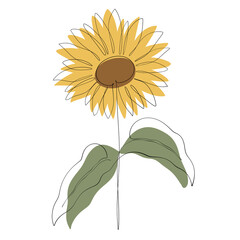 Sunflower one line art