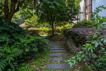 A garden path lined with lush greenery and stone steps, with trees boasting dense leaves providing shade over the footpath. Shady outdoor area is part of a public green space with various shrubs